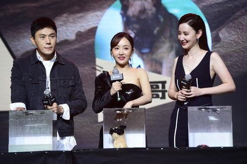 娱乐圈明星吃瓜合集小说